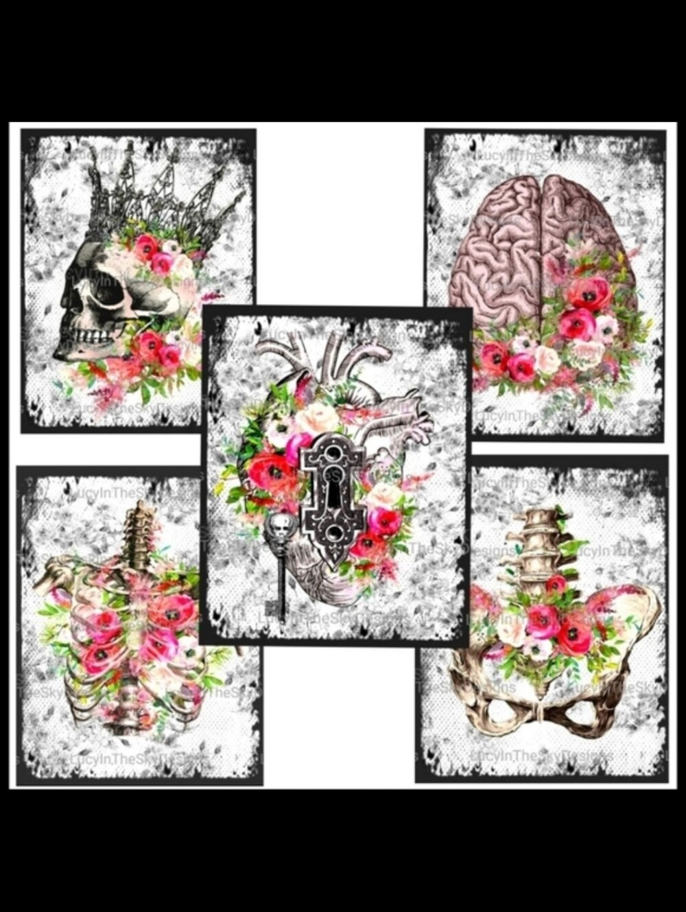 Anatomy & Wild Roses Gothic Chic Dark Academia Noir Art Print Set of Five